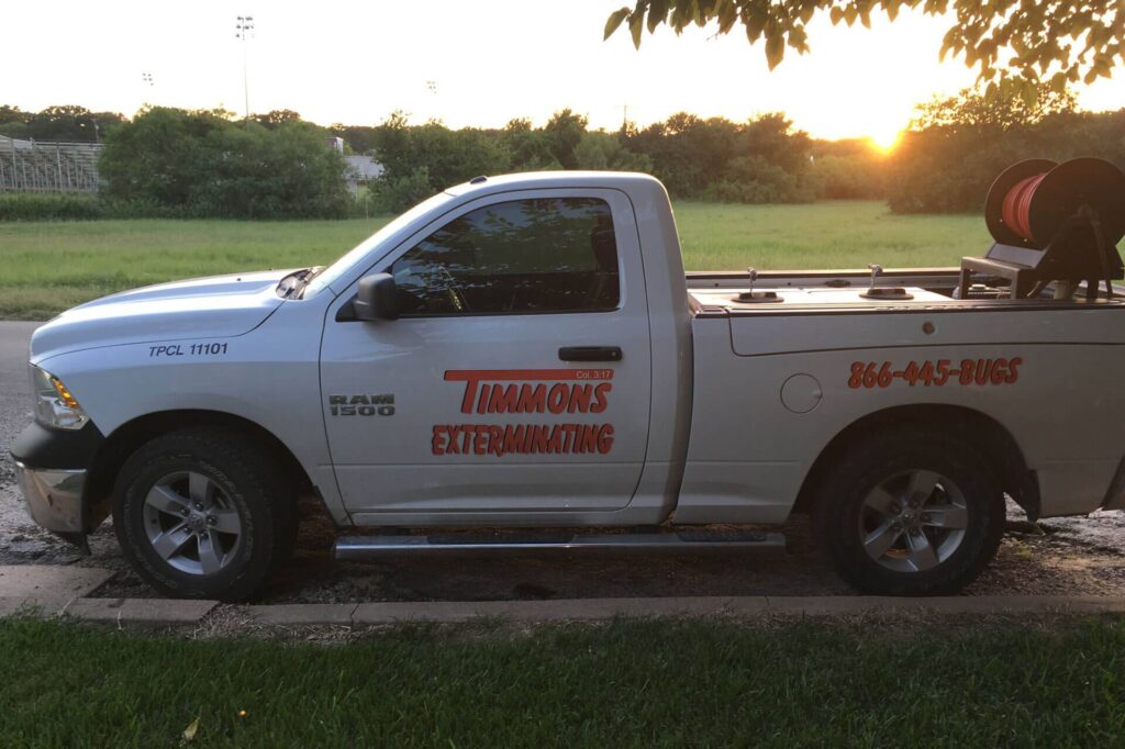 Face Without Pest Control