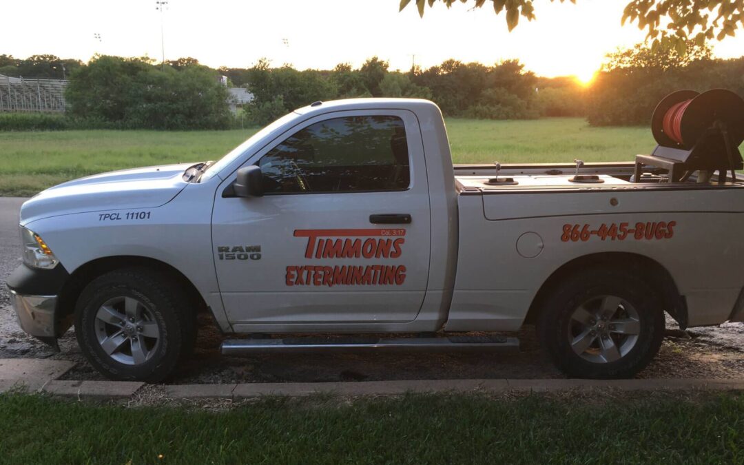 Seasonal Pest Control in Dublin, TX: What You Need to Know