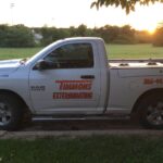 Face Without Pest Control