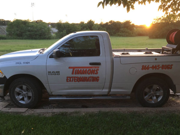 Face Without Pest Control