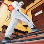 4 Top-Notch Benefits of Having a Commercial Pest Control in Dublin, TX