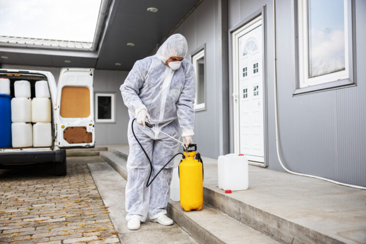 The Major Advantages of Hiring Services for Residential Pest Control in Stephenville, TX The Major Advantages of Hiring Services for Residential Pest Control in Stephenville, TX