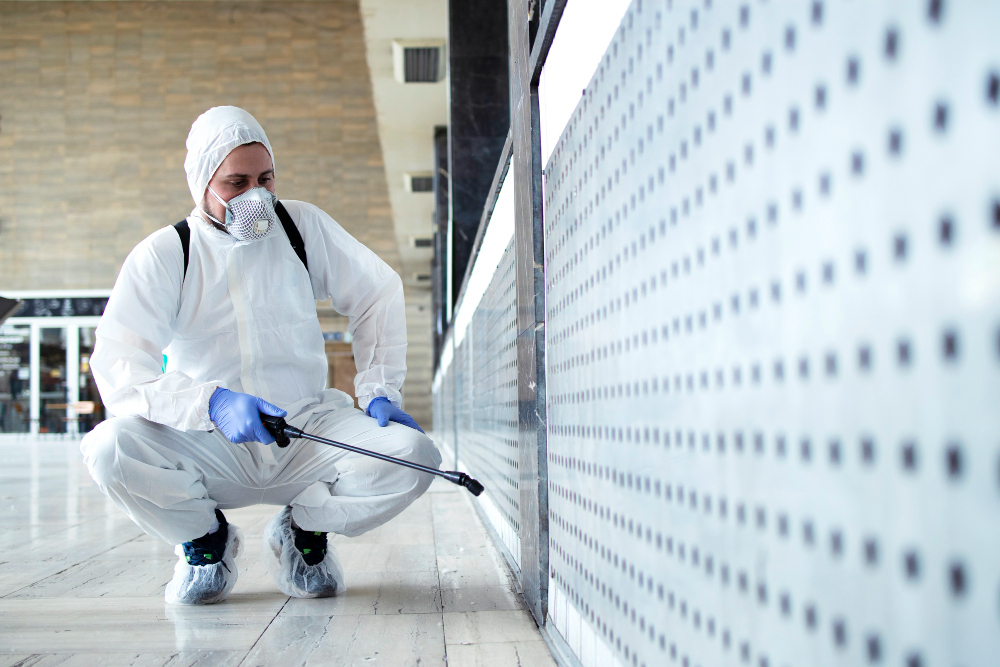 5 Must-Have Ant Control Solutions for a Clean and Safe Living Space