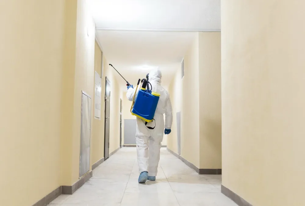 Reliable Residential & Commercial Pest Control in Stephenville, TX