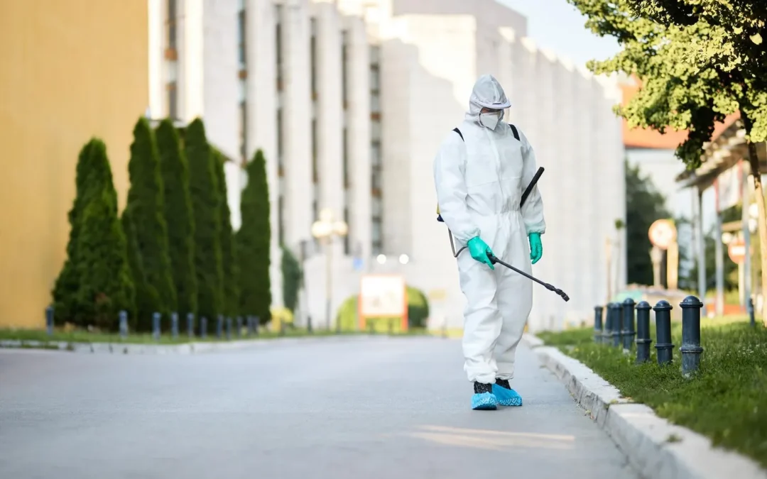 Trusted Pest Control in Dublin, TX for Residential and Commercial Properties