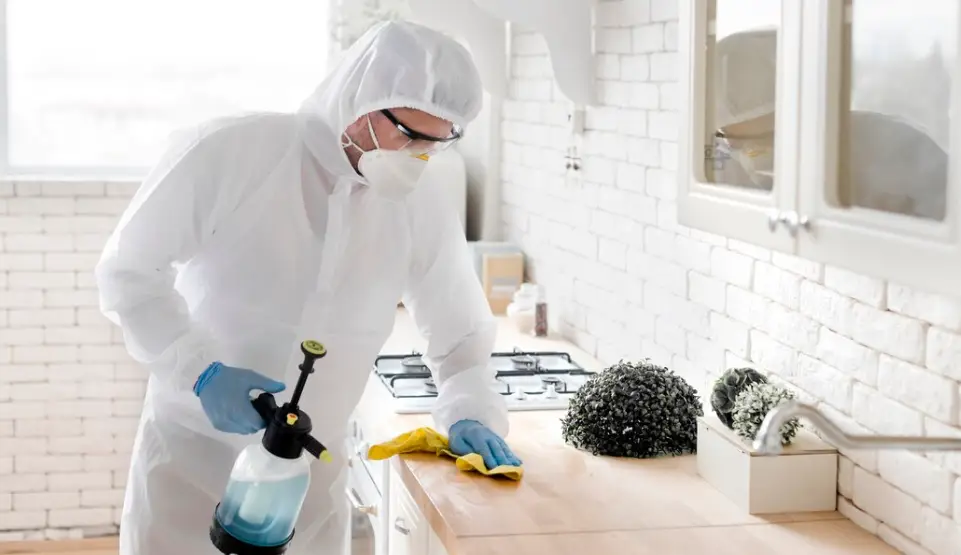ant exterminator Dublin TX